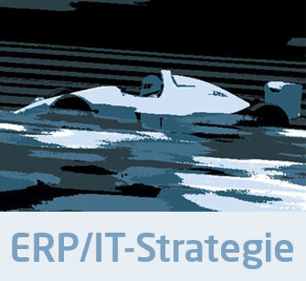 ERP IT-Strategie