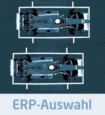 ERP Auswahl Pole Position